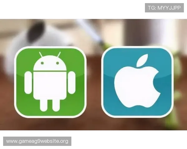 凯发线上手机app如何保障用户信息安全与隐私保护